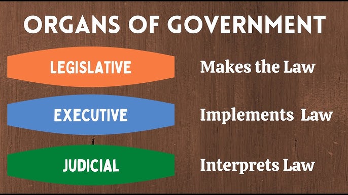 ORGANS OF GOVERNMENT