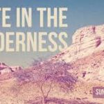Life in the Wilderness