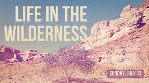 Life in the Wilderness