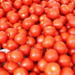TOO MANY TOMATOES? HERE IS WHY THAT IS A BLESSING FOR YOUR BODY AND KITCHEN — PLUS EASY PRESERVATION TIPS!